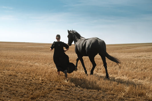 A Creative Journey to Alberta